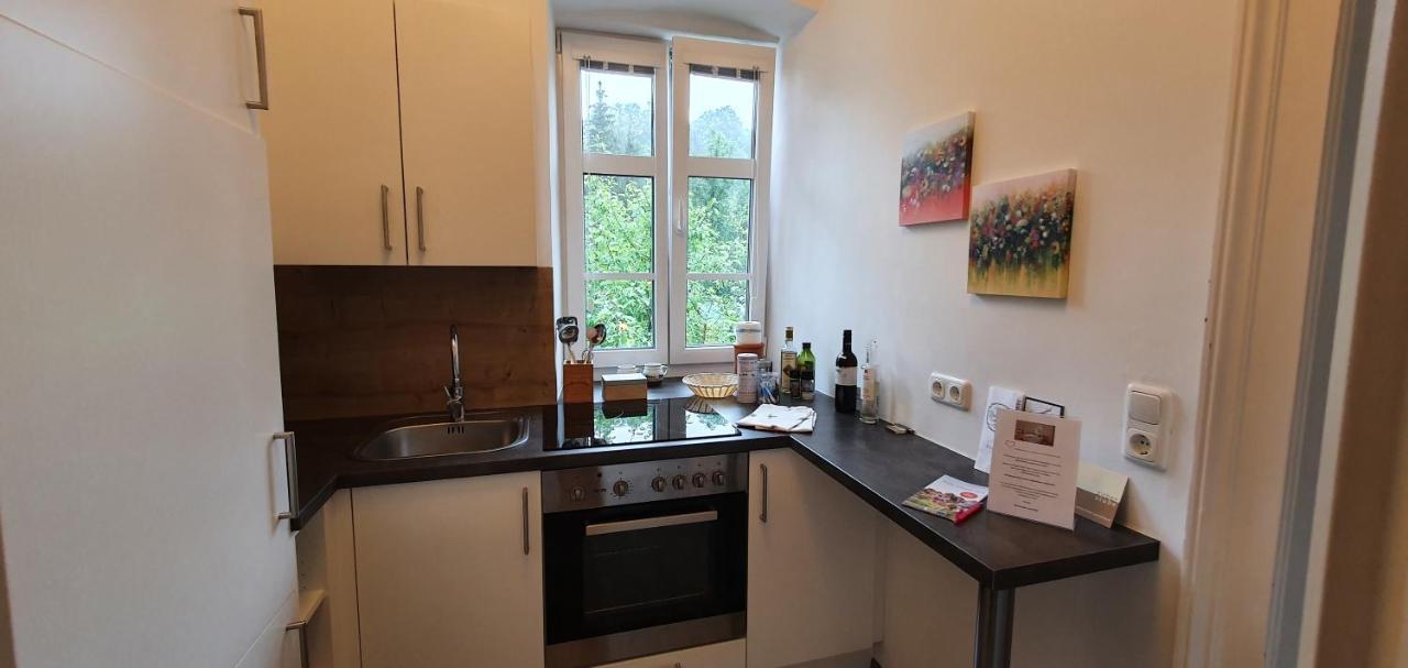 Appartements Maximilian Göstling an der Ybbs Exteriér fotografie